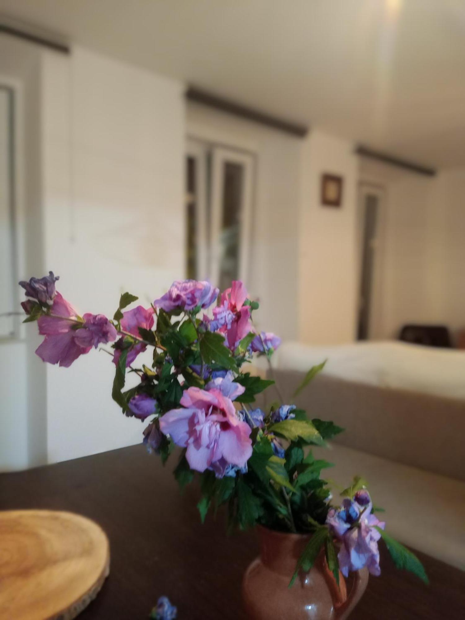 Casa Com Vista Sob A Cidade! Коимбра Екстериор снимка